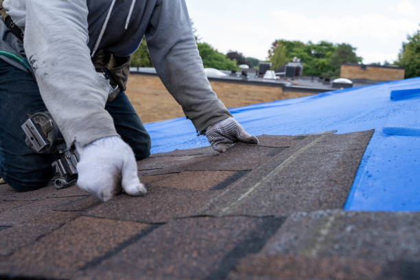 Best Roof Insulation Installation  in Kings Mills, OH